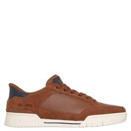 Skechers Recoil