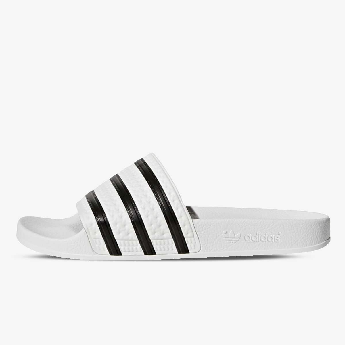Adilette, Bela
