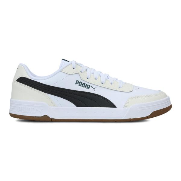 Puma Caracal