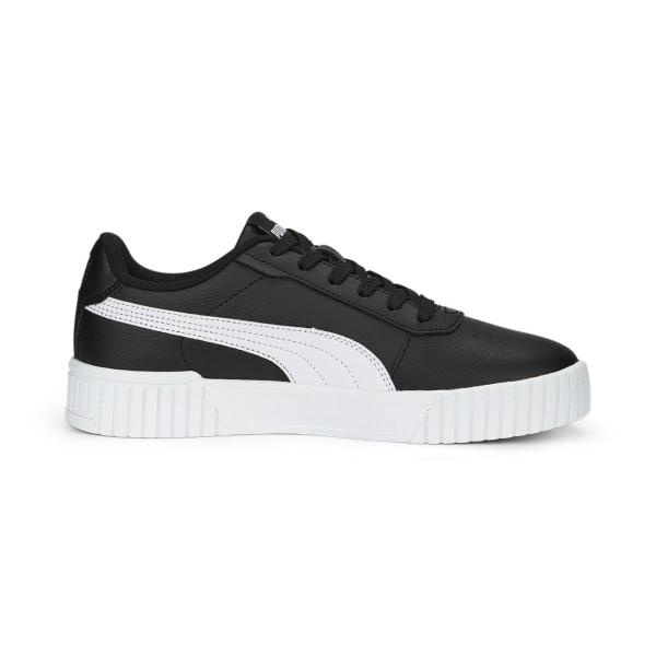 Puma carina 2.0