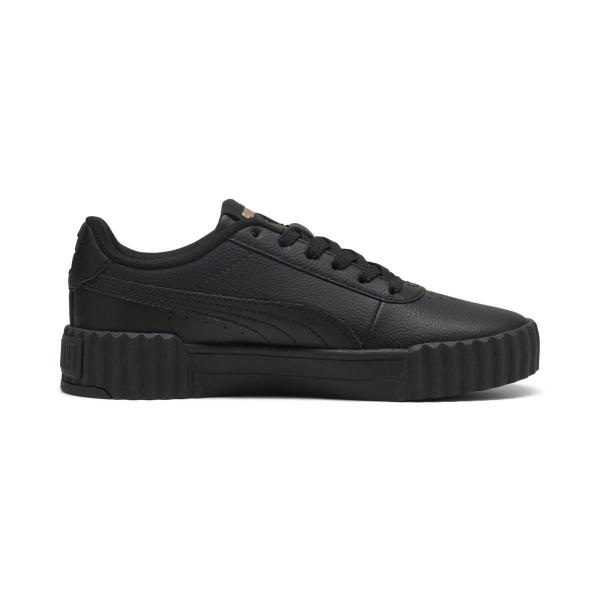 Puma carina 3.0
