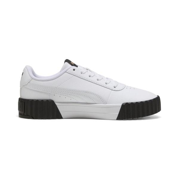 Puma carina 3.0