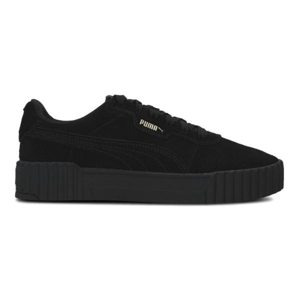 Puma Carina 3.0 Sd