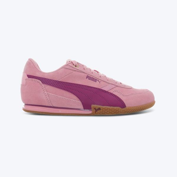 Puma bella donna sd