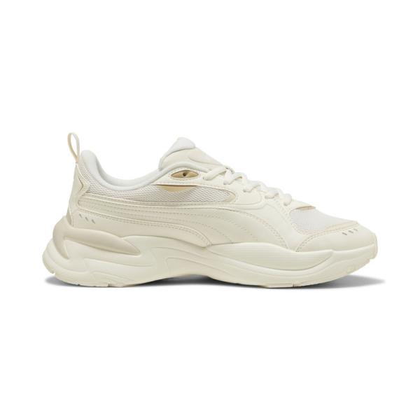 Puma X-ray 4