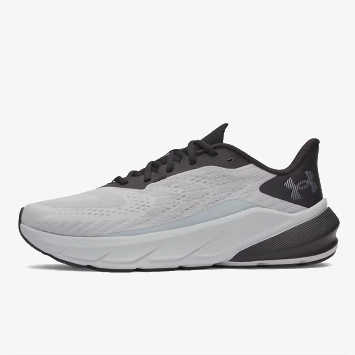 Charged+ Turbulence 3, Siva