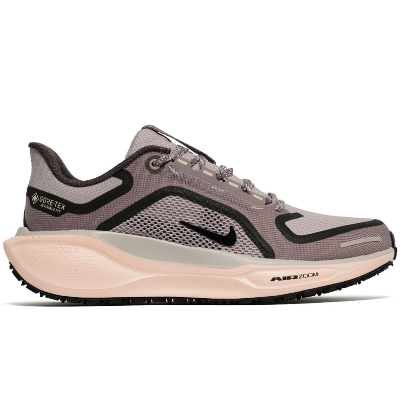 Air Zoom Pegasus 41 Gtx