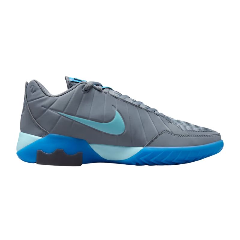 Lebron witness ix