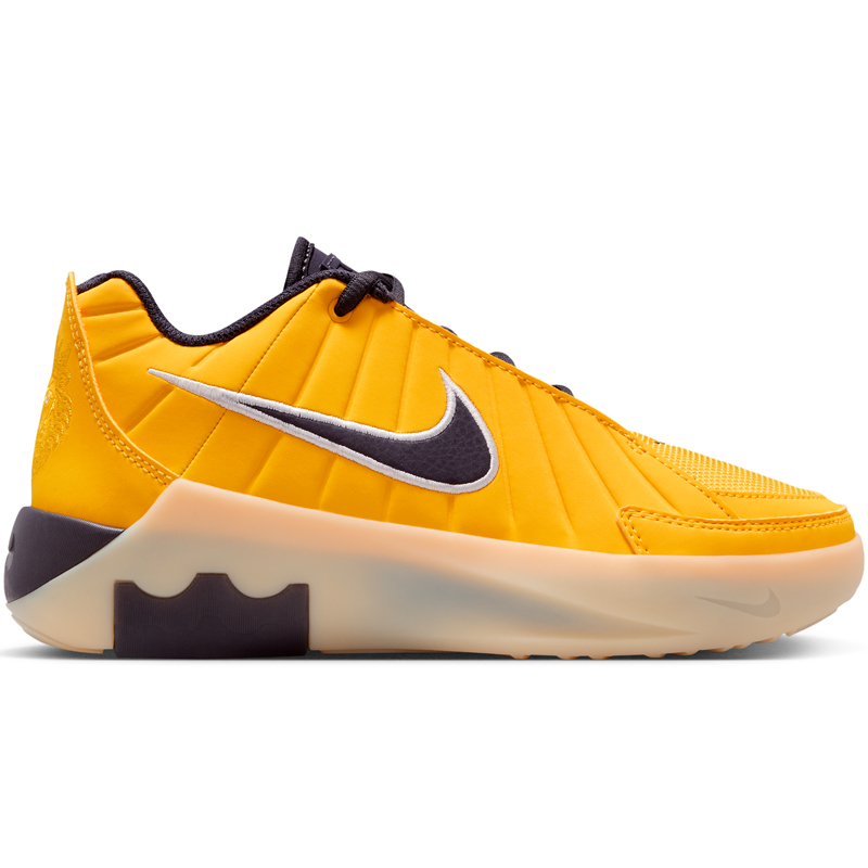 Lebron Witness Ix, Multikolor