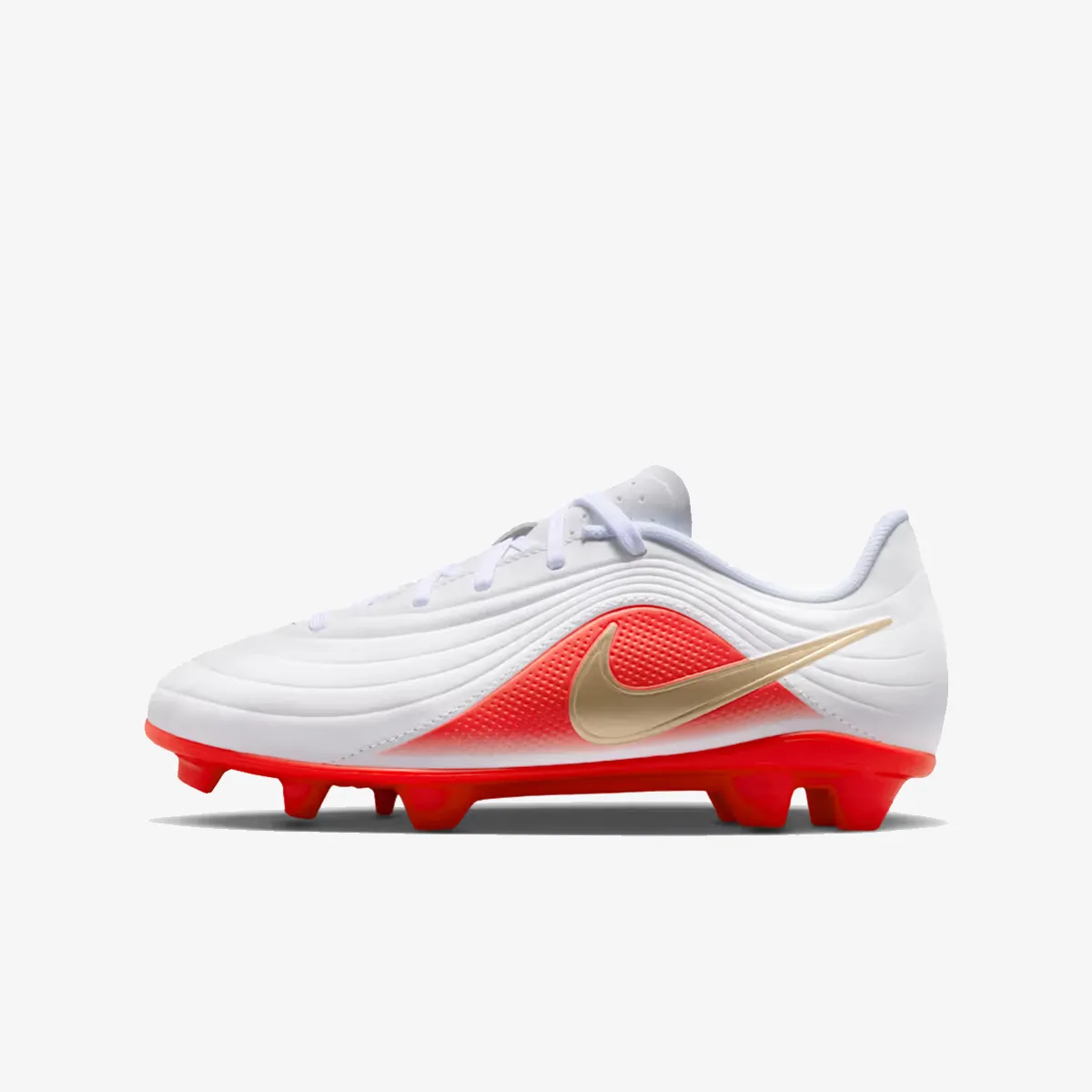 Tiempo Maestro Club