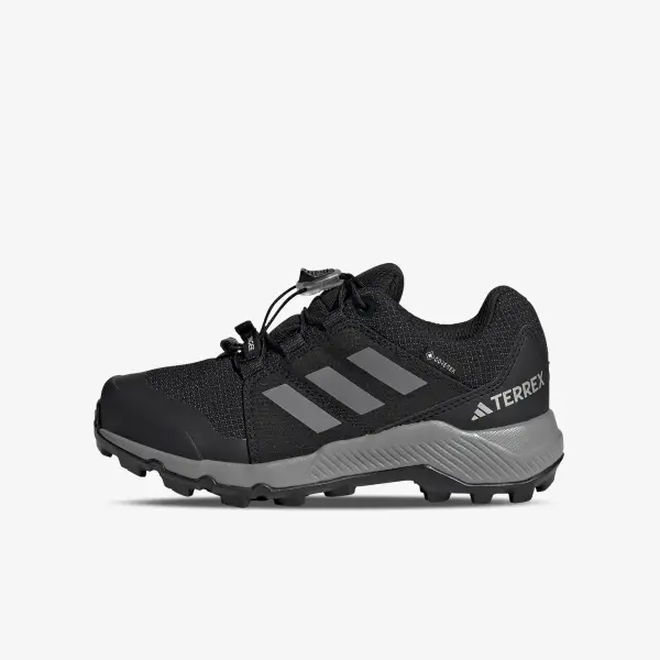 Adidas Terrex Gore-Tex