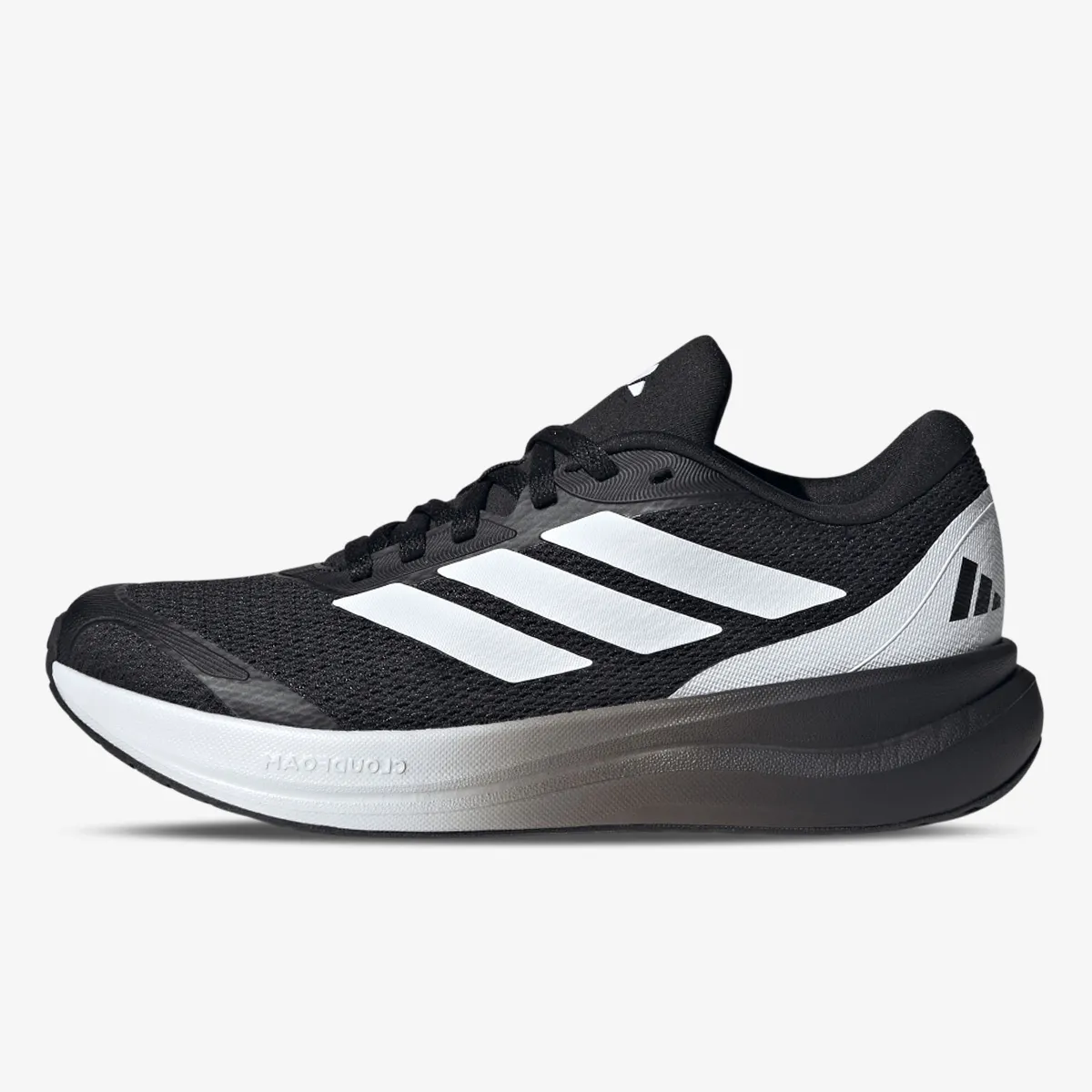 Runfalcon 6