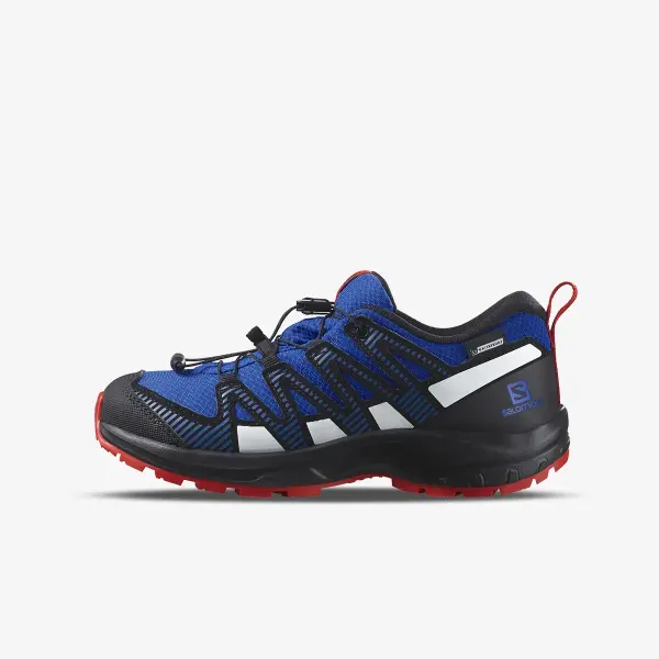 Salomon XA Pro V8 CSWP
