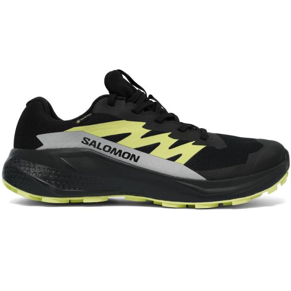 Salomon Alphaglide Gtx