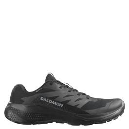 Salomon Alphaglide Gtx