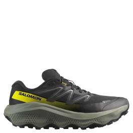 Salomon Ultra Flow 2 Gtx