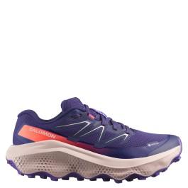Salomon Ultra Flow 2 Gtx