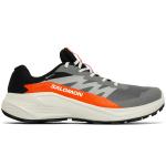 Alphaglide Gtx, Multikolor