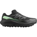 Ultra Flow 2 Gtx, Crna