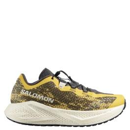Salomon Aero Glide 4 Grvl
