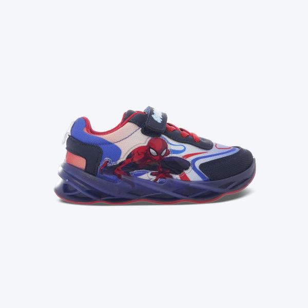 Sugi spiderman BTP