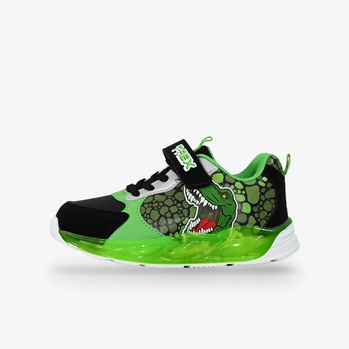 Dinosaur